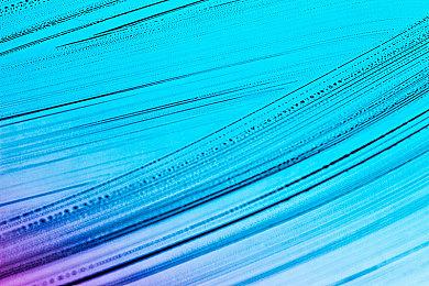 典藏套装《SONIC X SHADOW GENERATIONS》2024年秋季发售！